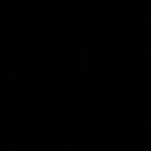 Meet your Posher, Raylea